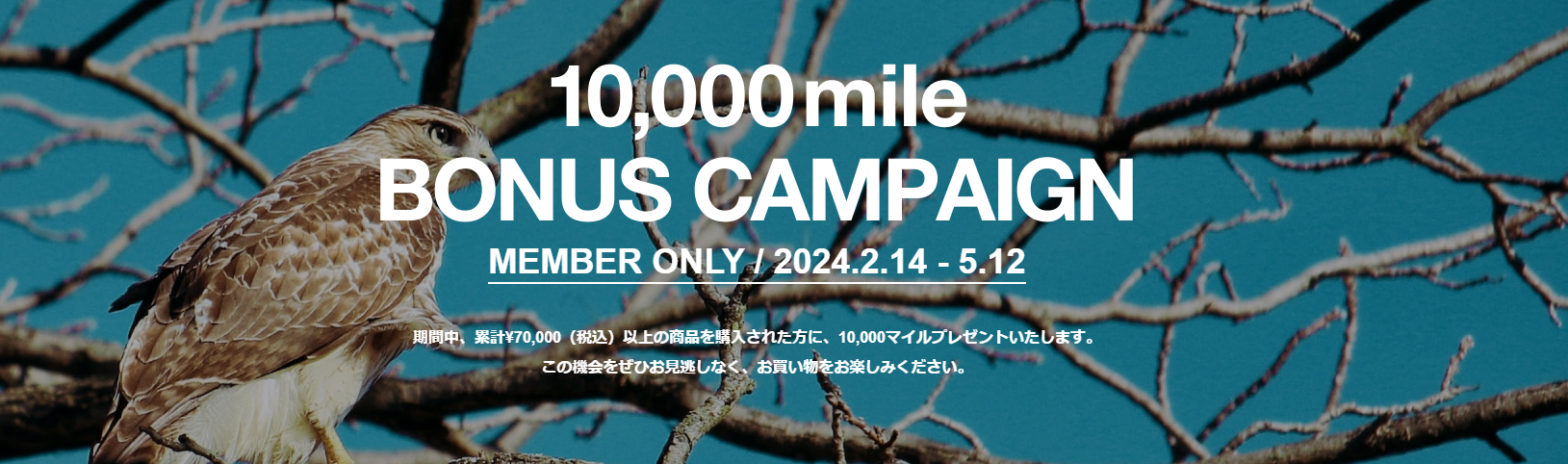 【期間限て】10,000マイルプレゼントキャンペーン